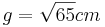 g=\sqrt{65}cm