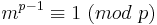 m^{p-1} \equiv 1\ (mod\ p)