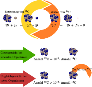 C14 methode physikalische grundlagen.svg