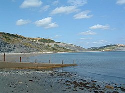 A view from East Cliff Beach across to Charmouth and Stonebarrow Hill - geograph.org.uk - 106.jpg