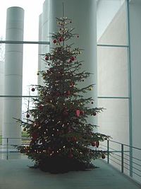 Weihnachtsbaum.jpg