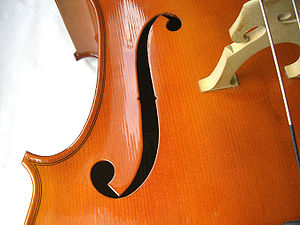 CelloCloseup4.jpg