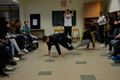 Vorstellung der polnischen Schule in Opatow Schüleraufführung Breakdance.jpg