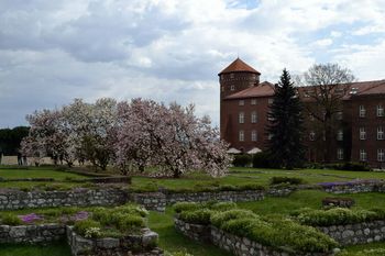Gartenanlage Burg Wawel.jpg