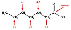 4 Hydroxycarbonsäuren a e.jpg