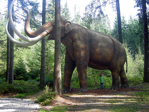 Mammoth Mammut model.JPG