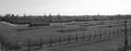 Blick Über das Lager Ausschwitz Birkenau 2 1.JPG