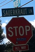 Sauerkraut LN