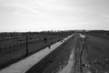 Blick Über das Lager Ausschwitz Birkenau 2 3.JPG
